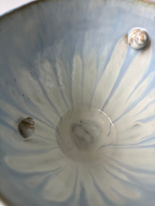 Skål 002 - Havsnegl