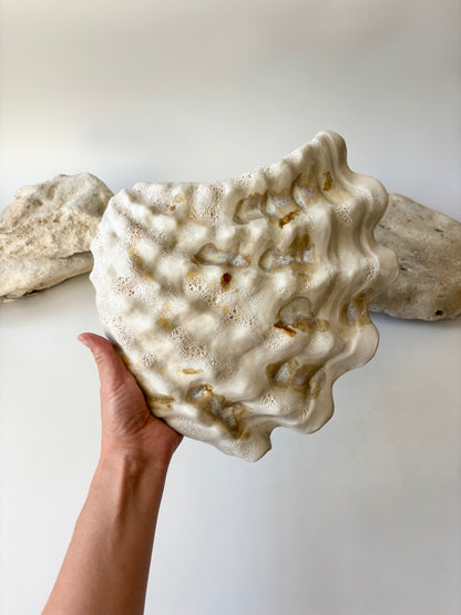 Vægophæng 069 - Musling