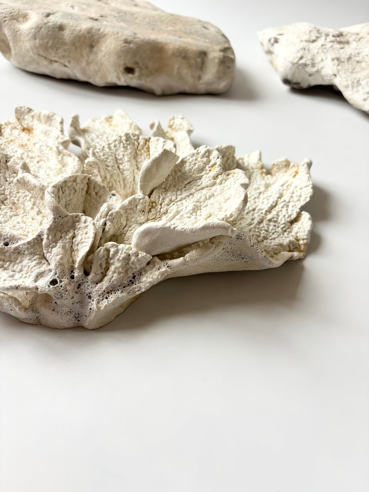 Vægophæng 074 - Koralfossil