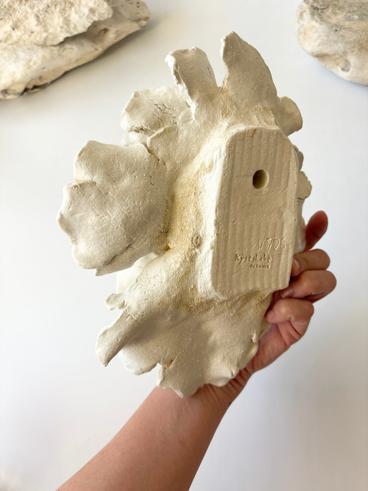 Vægophæng 067 - Koralfossil