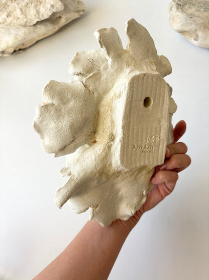 Vægophæng 067 - Koralfossil