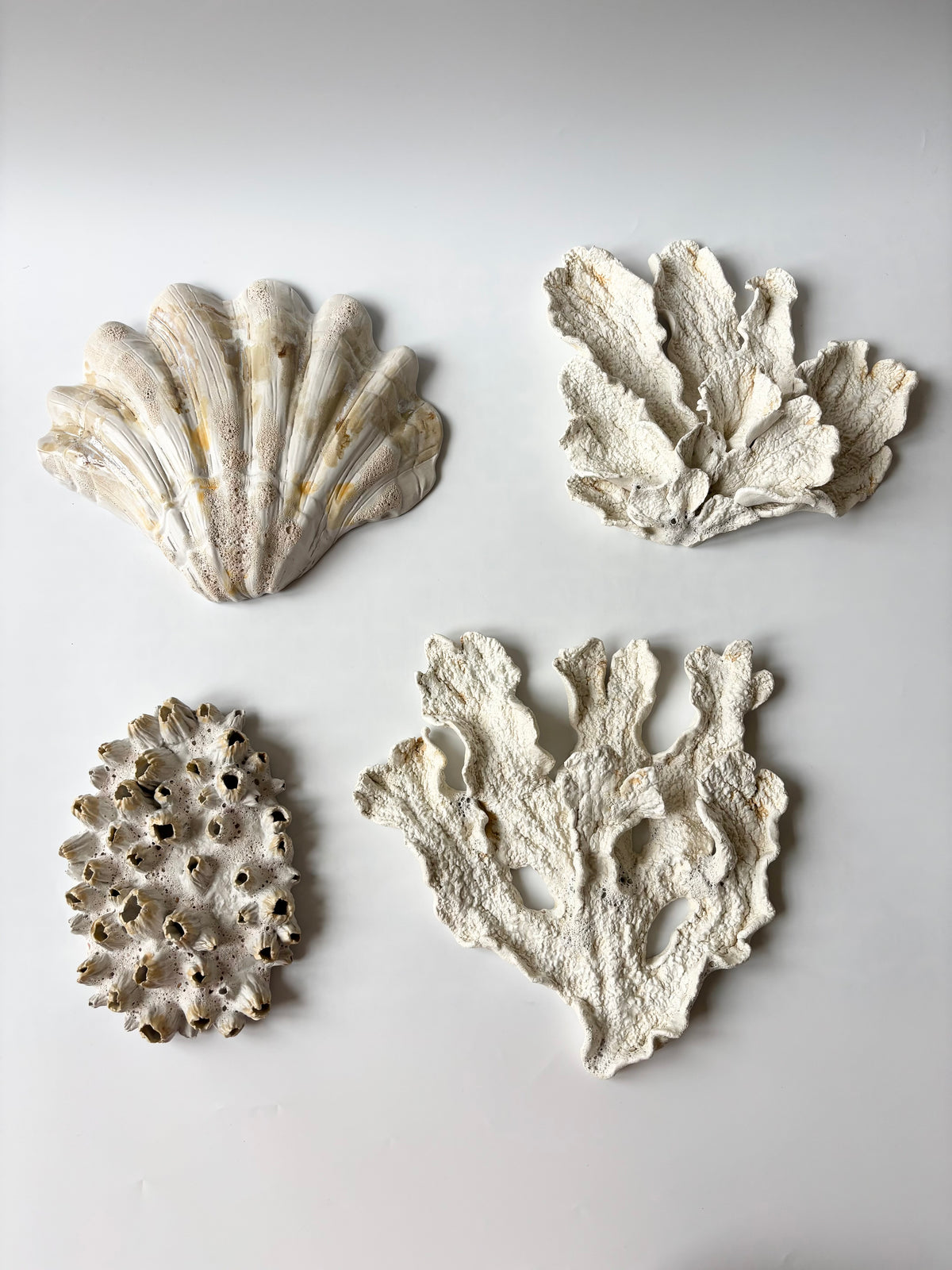 Vægophæng 074 - Koralfossil