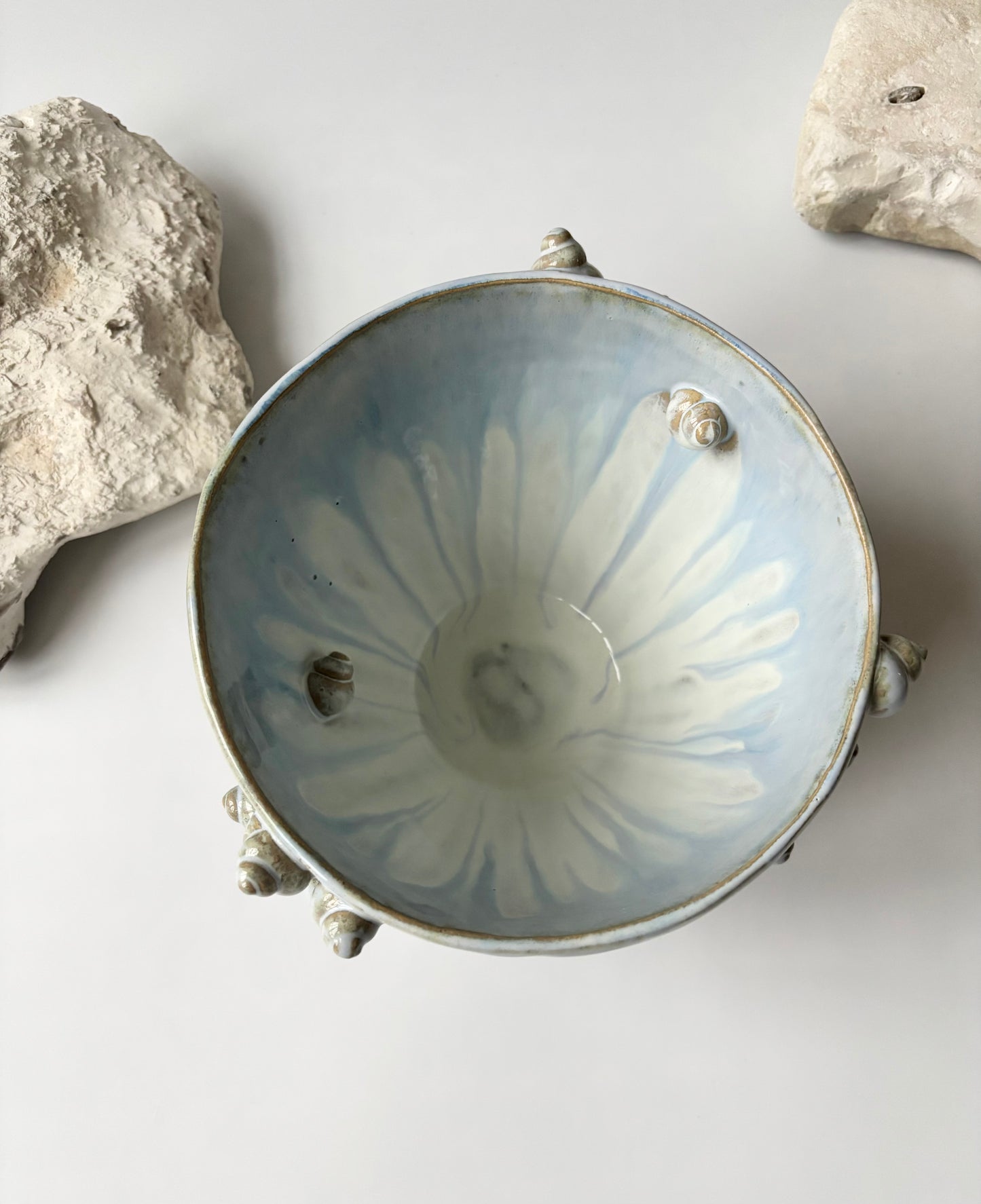 Skål 002 - Havsnegl