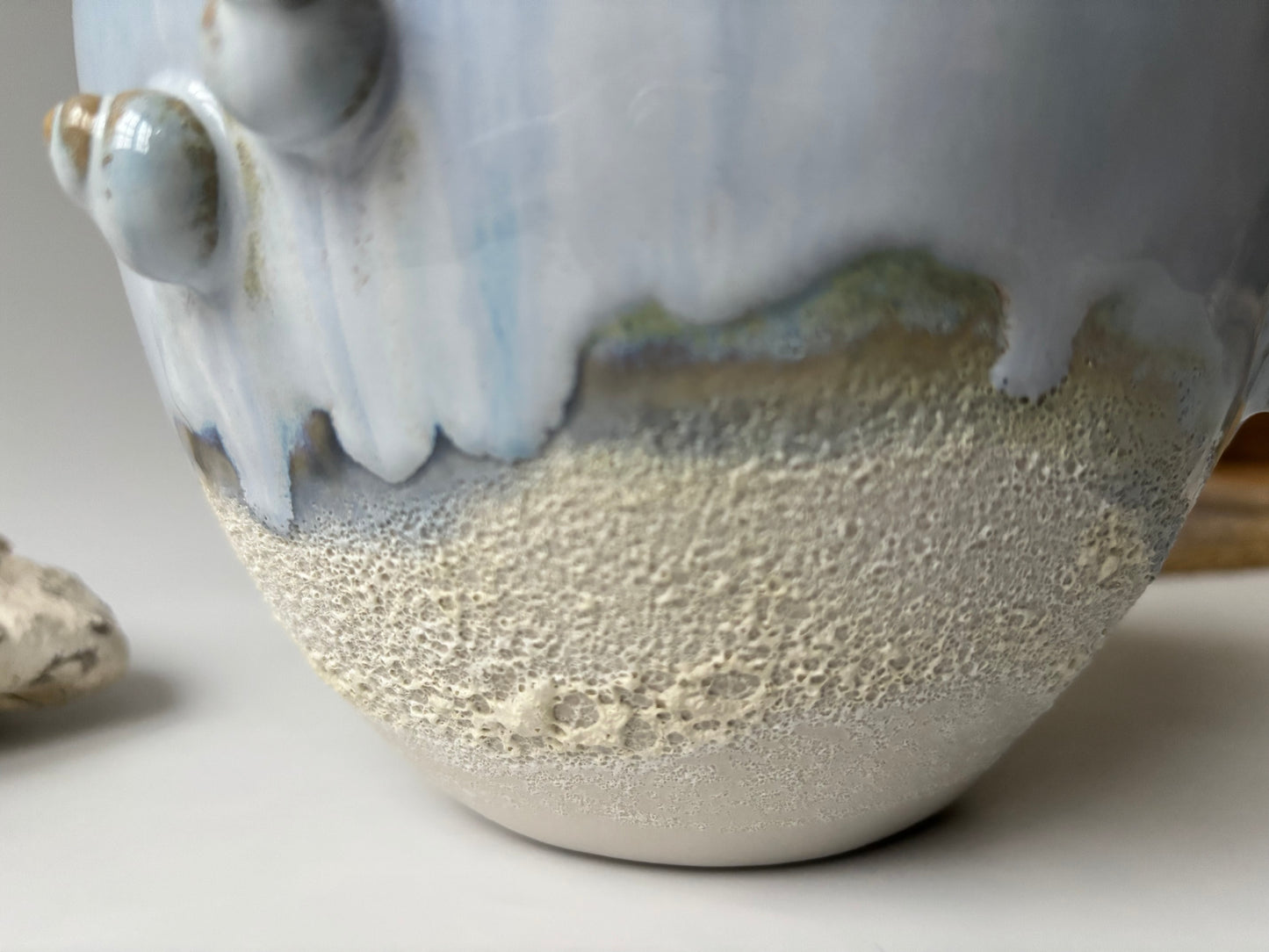 Skål 002 - Havsnegl