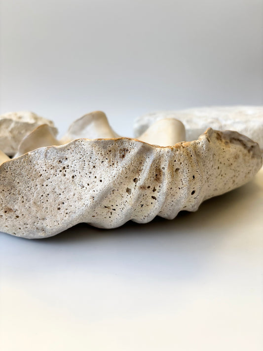 Fad 007 - Strandskal