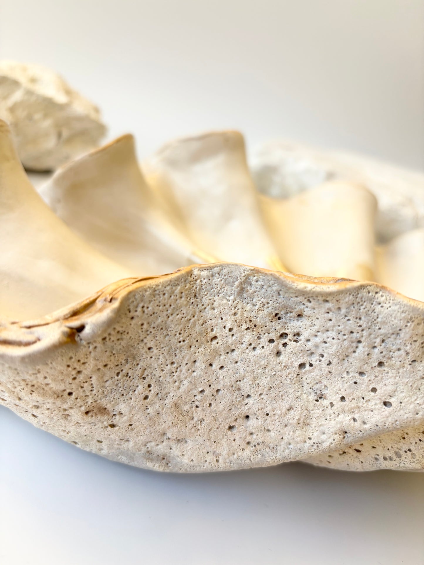 Fad 008 - Strandskal