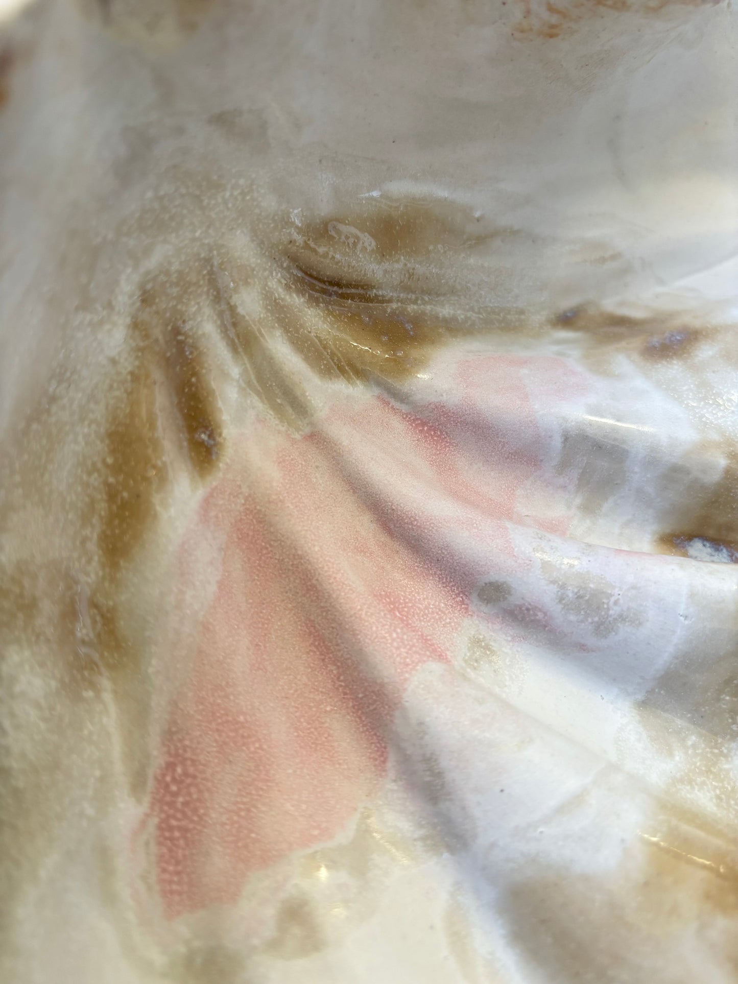 Fad 007 - Strandskal