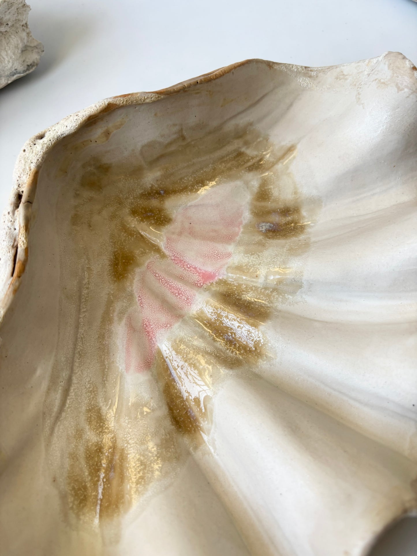 Fad 008 - Strandskal