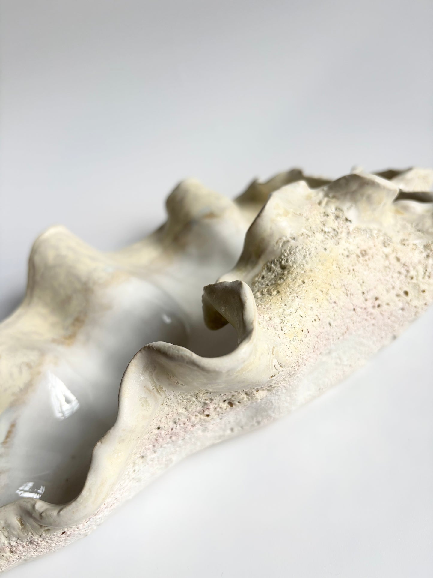 Fad 002 - Strandskal