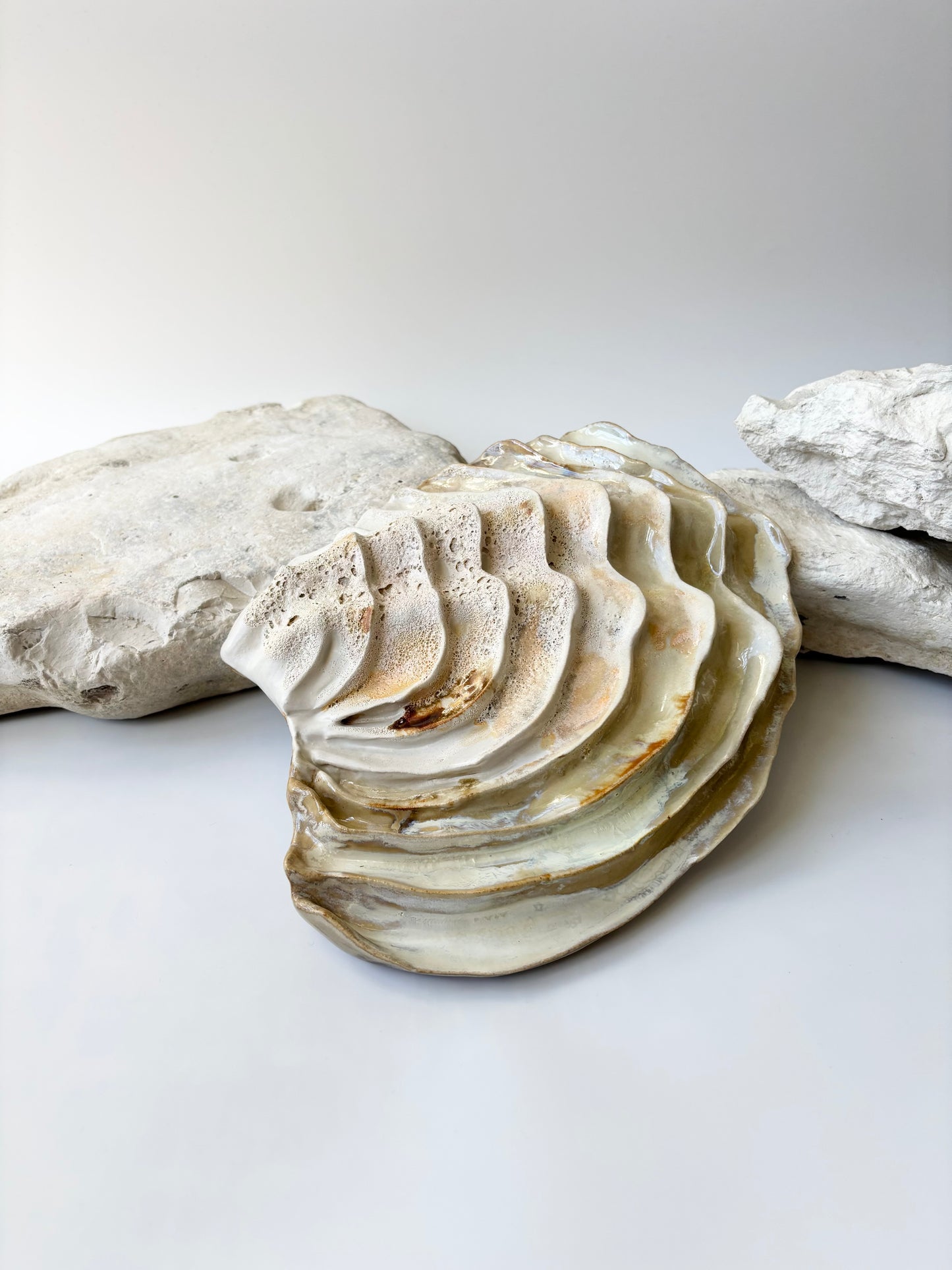 Vægophæng 001 - Venusmusling