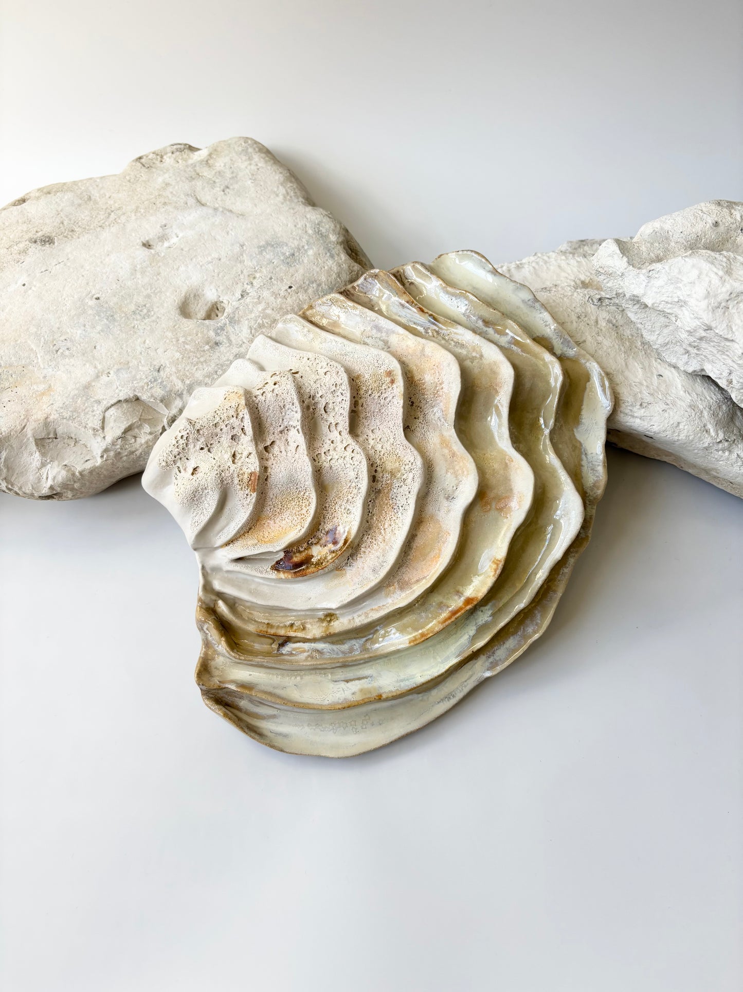 Vægophæng 001 - Venusmusling