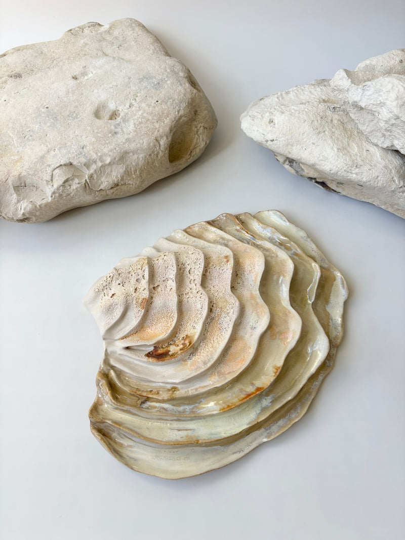 Vægophæng 001 - Venusmusling