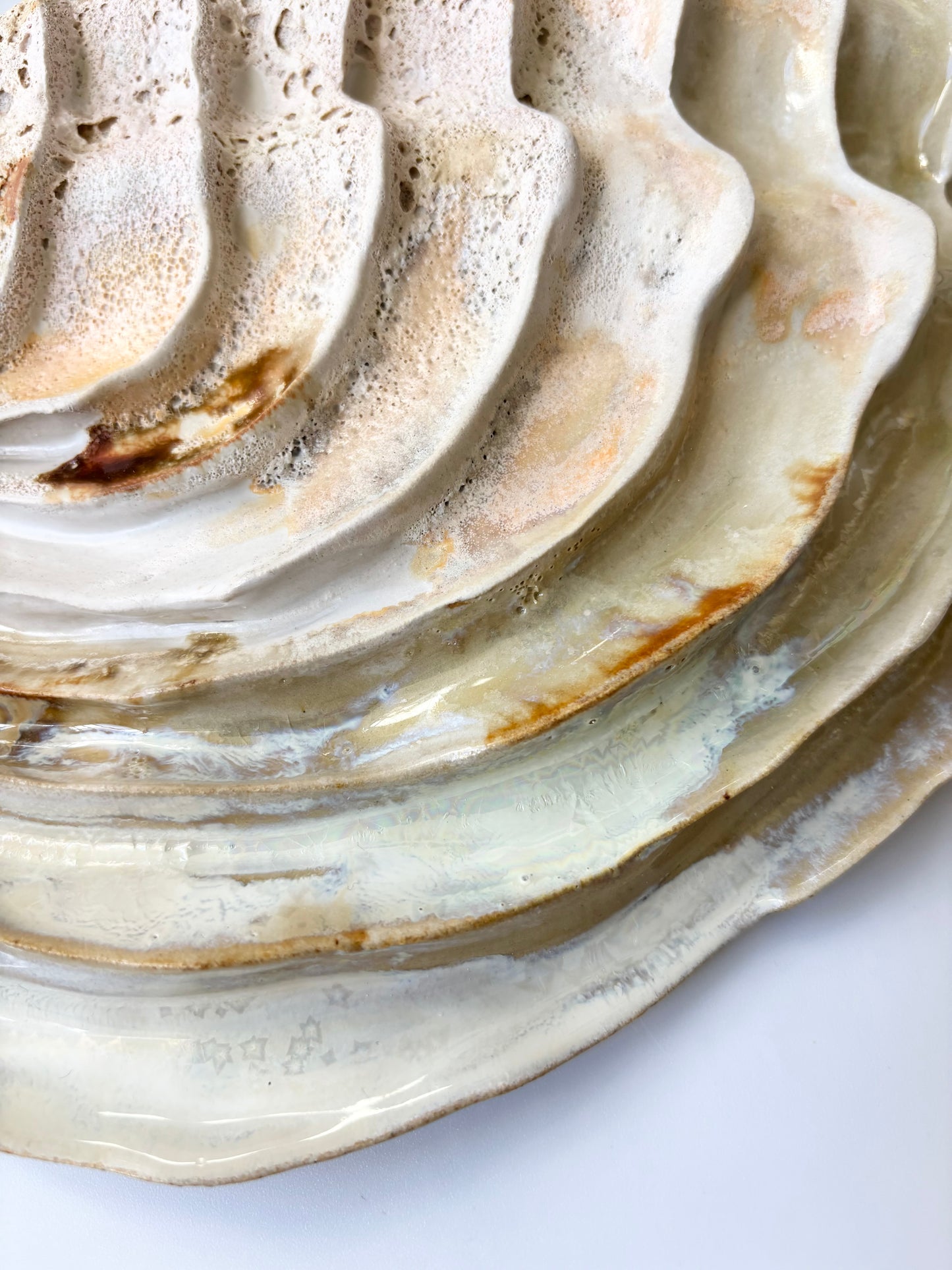 Vægophæng 001 - Venusmusling