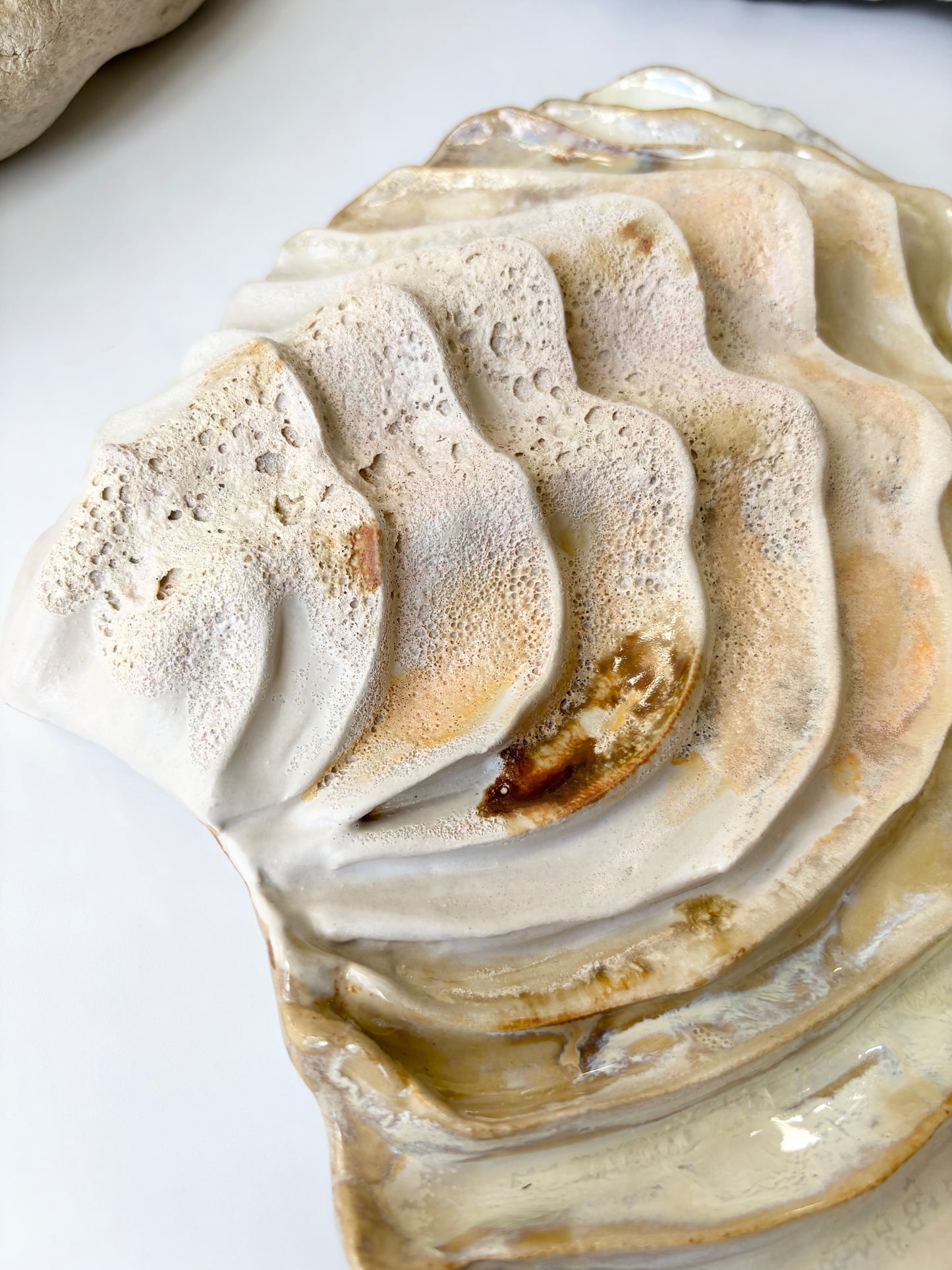 Vægophæng 001 - Venusmusling