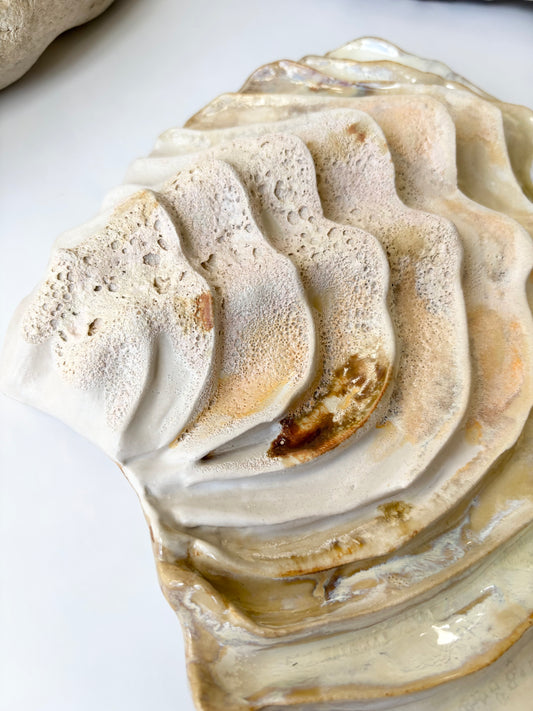 Vægophæng 001 - Venusmusling