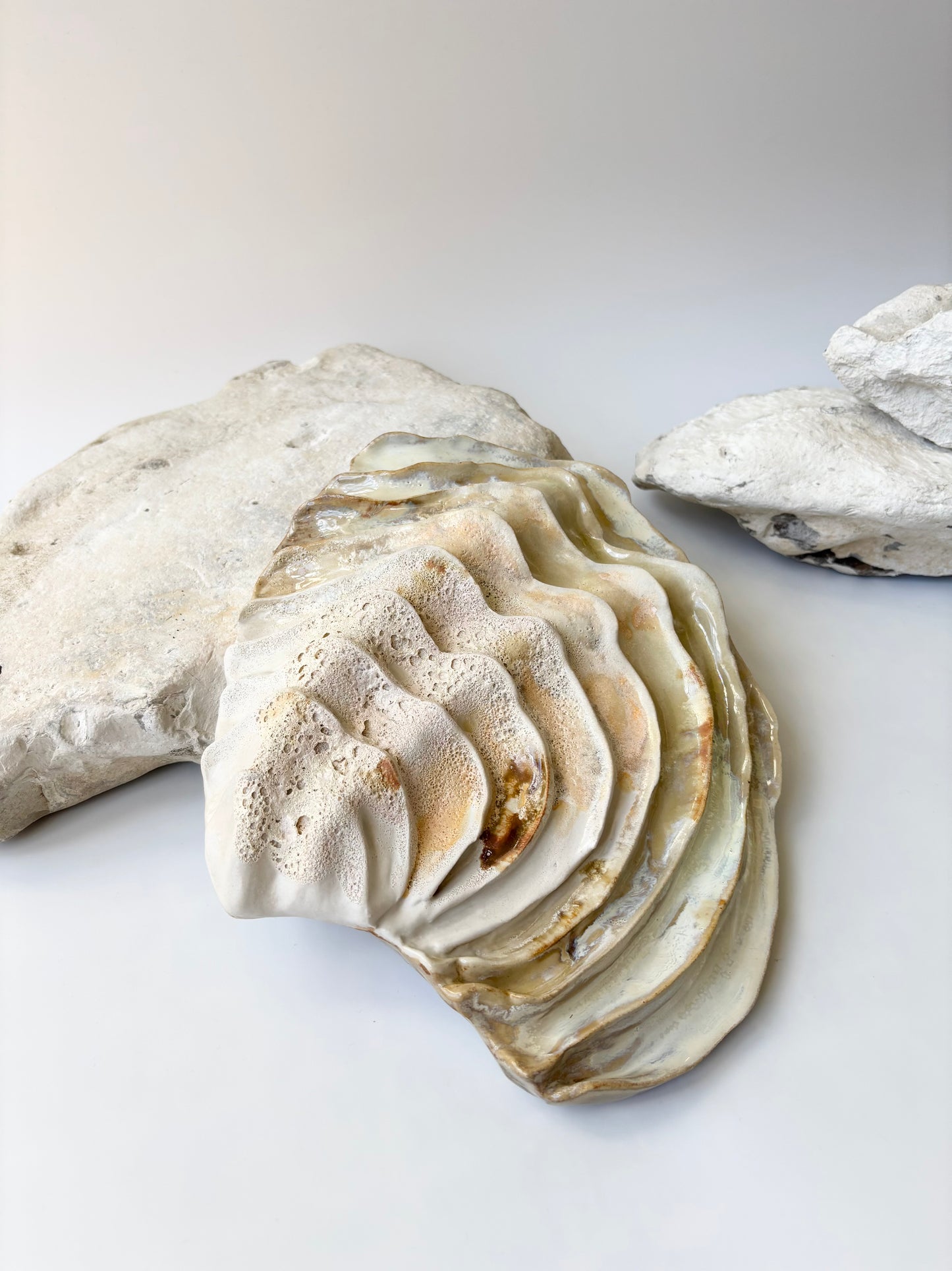 Vægophæng 001 - Venusmusling