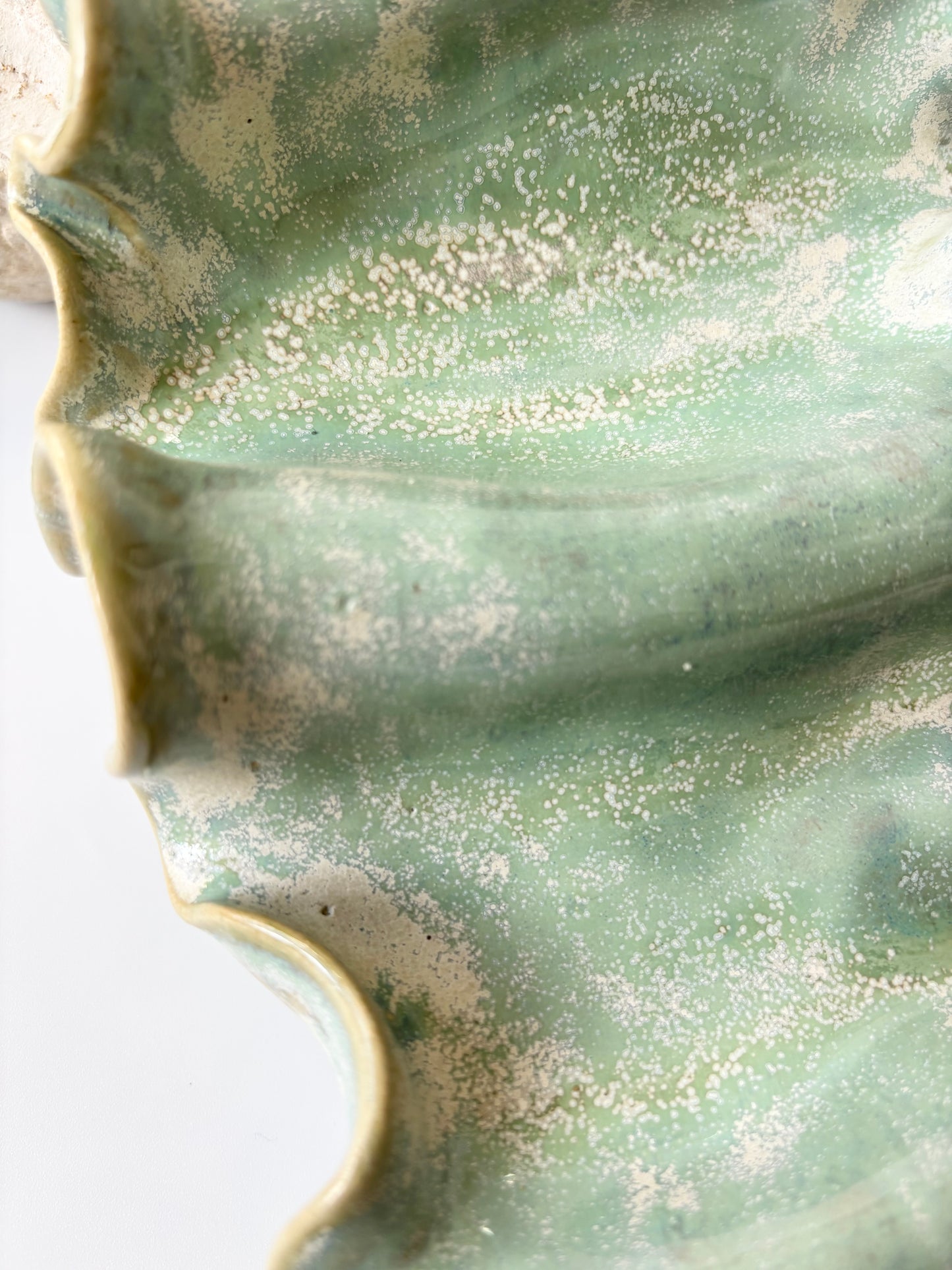 Vægophæng 002 - Alga