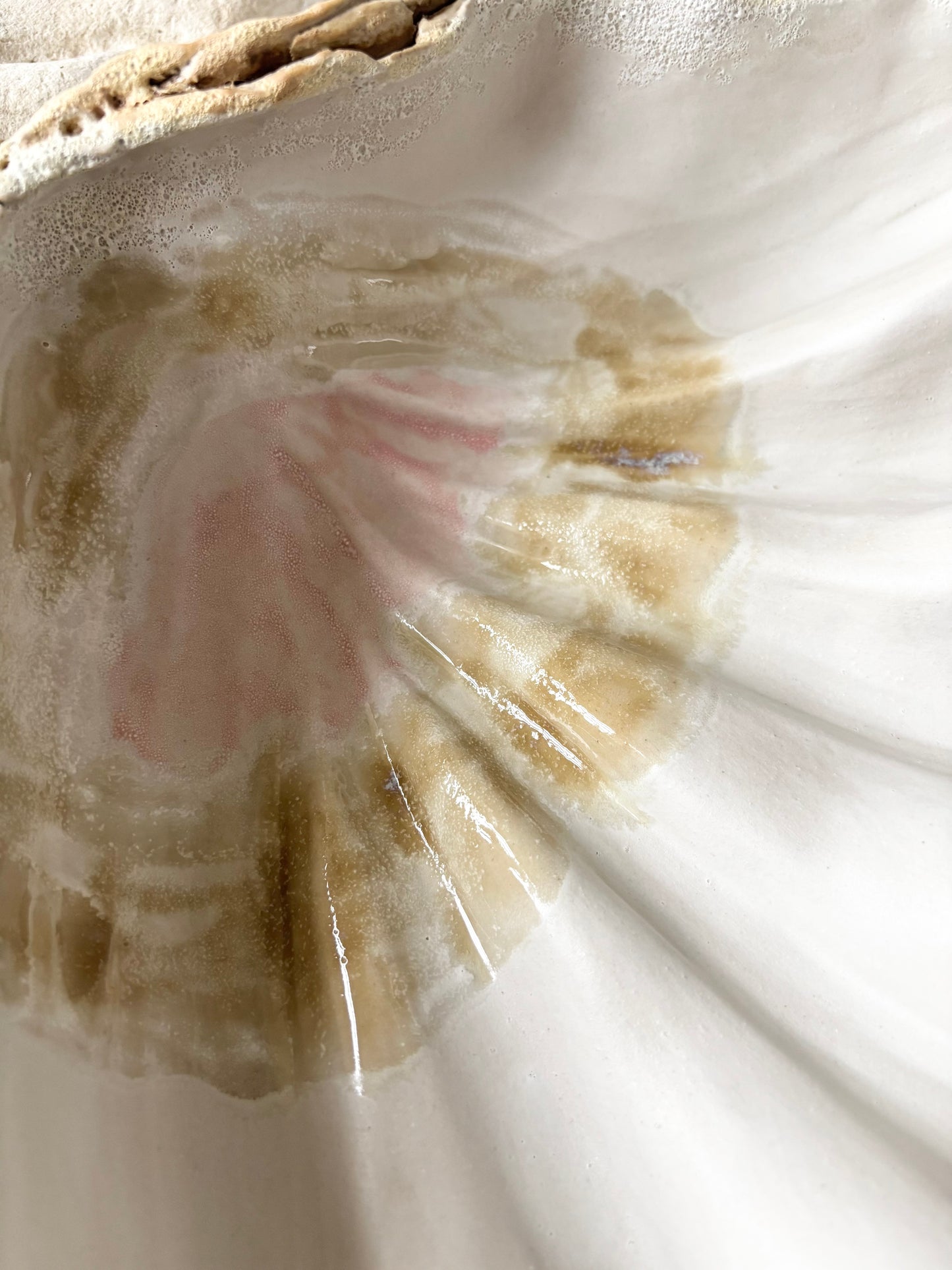 Fad 011 - Strandskal