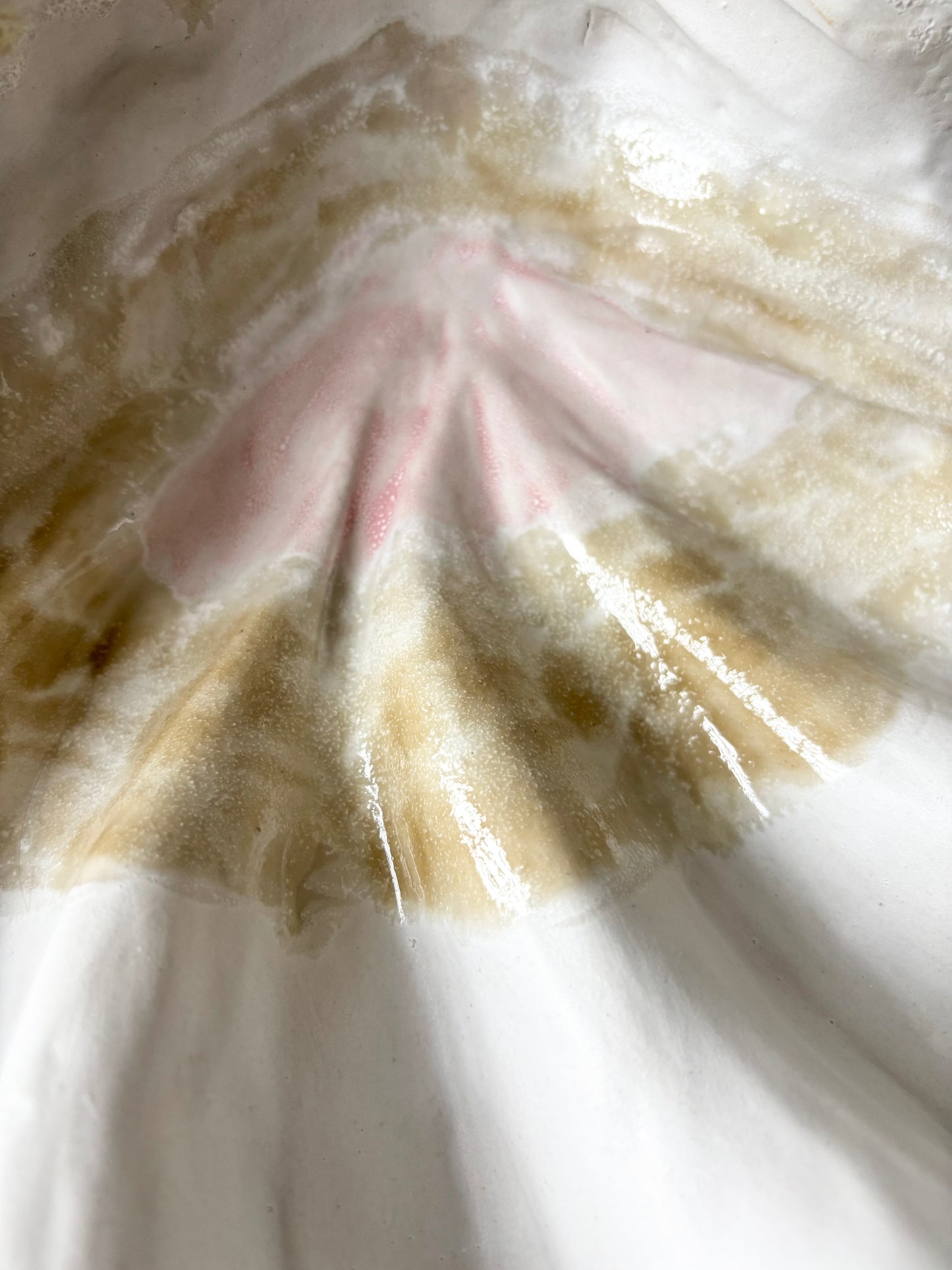 Fad 009 - Strandskal