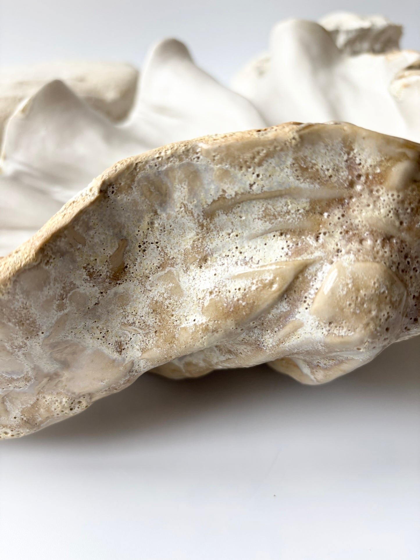 Fad 009 - Strandskal