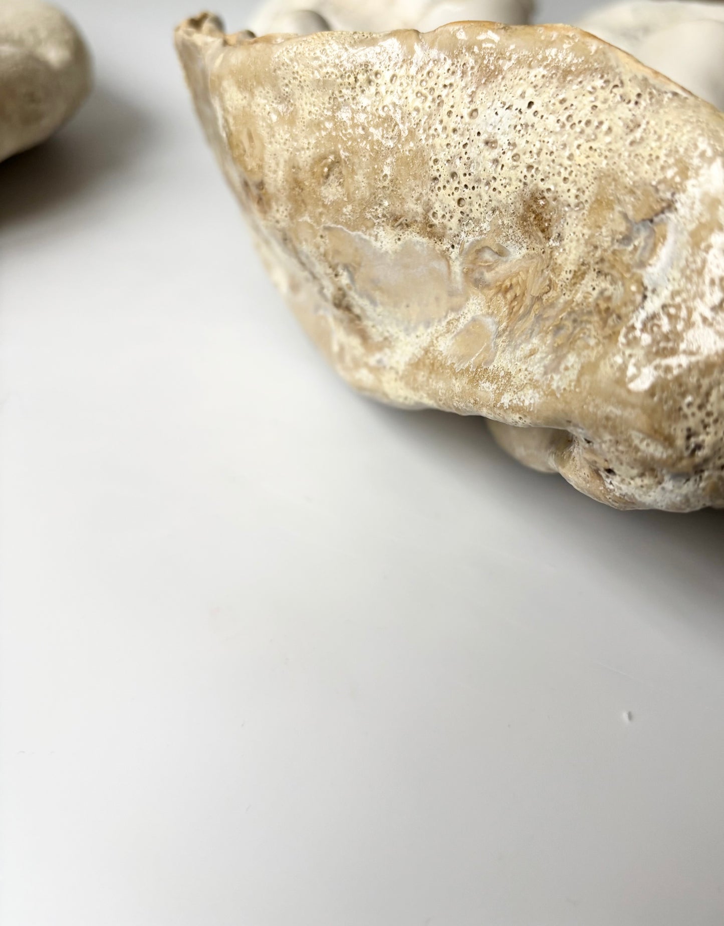 Fad 011 - Strandskal