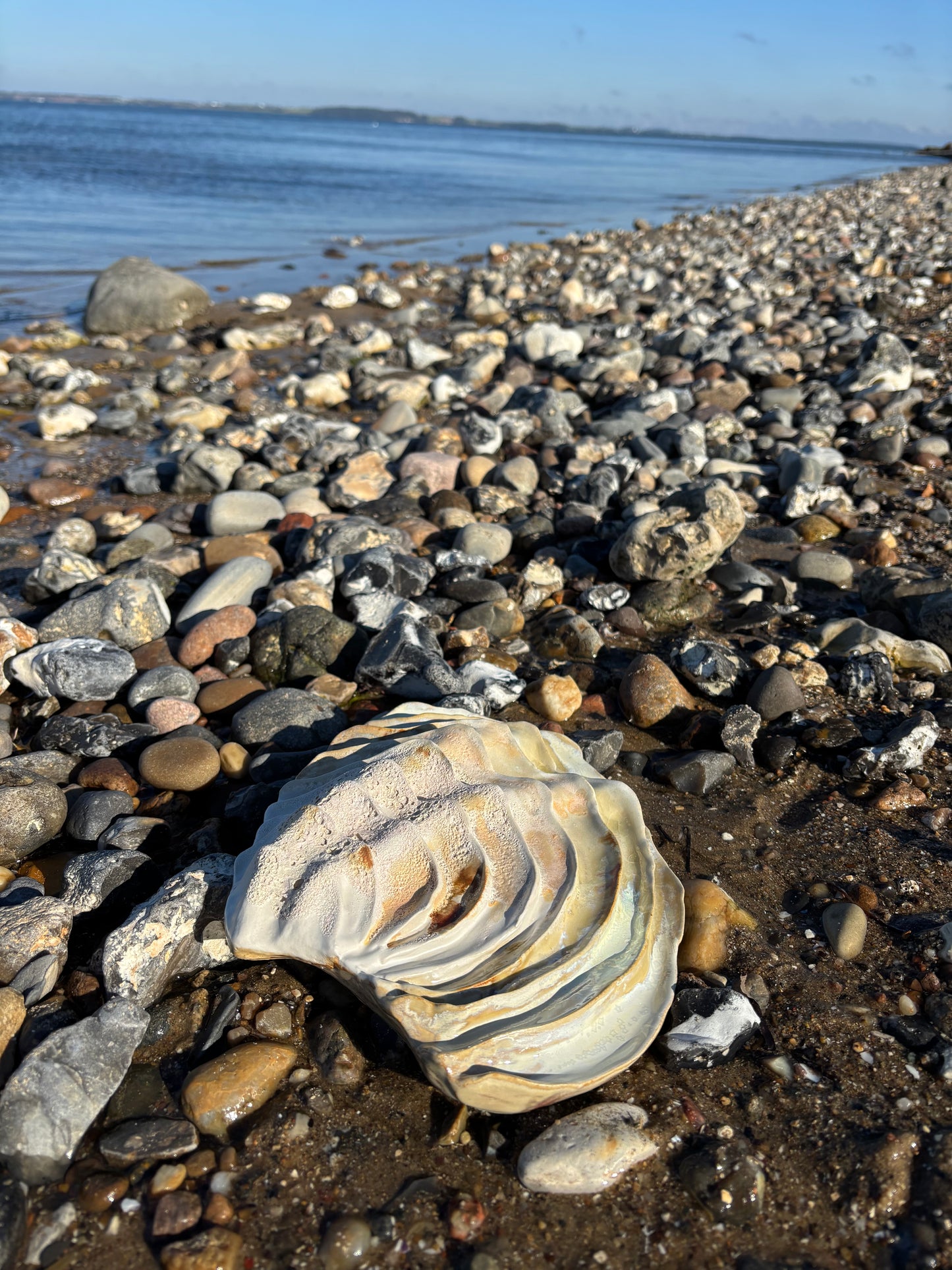 Vægophæng 001 - Venusmusling