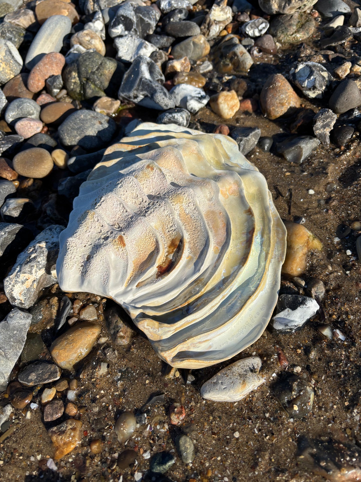 Vægophæng 001 - Venusmusling