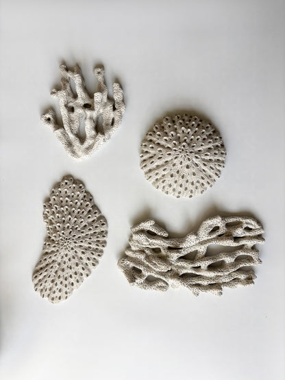 Vægophæng 023 - Koralfossil