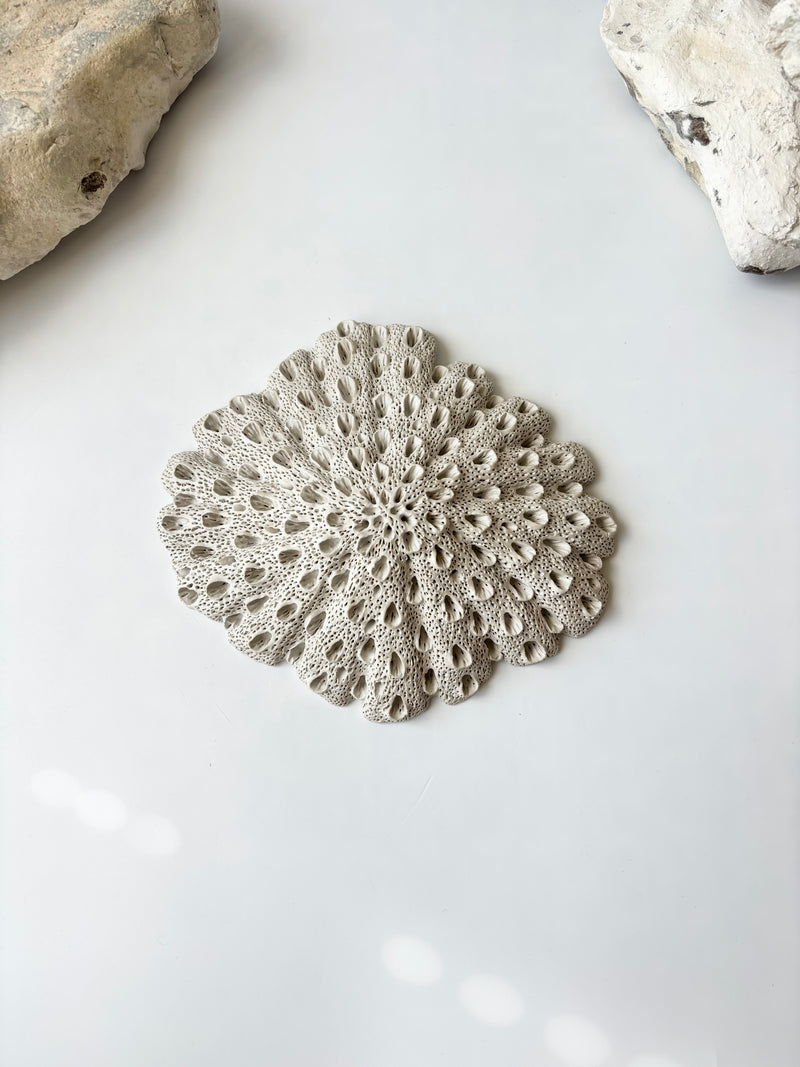 Vægophæng 043 - Koralfossil