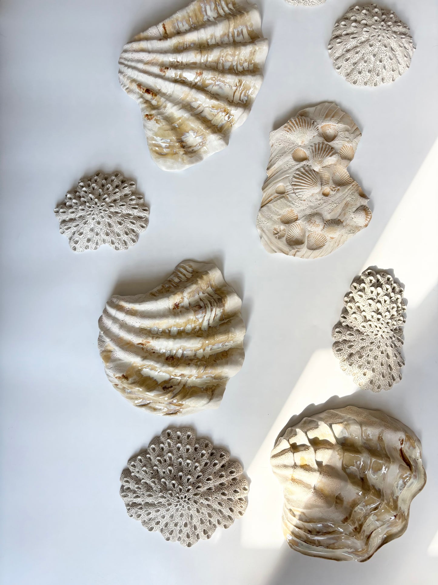 Vægophæng 043 - Koralfossil