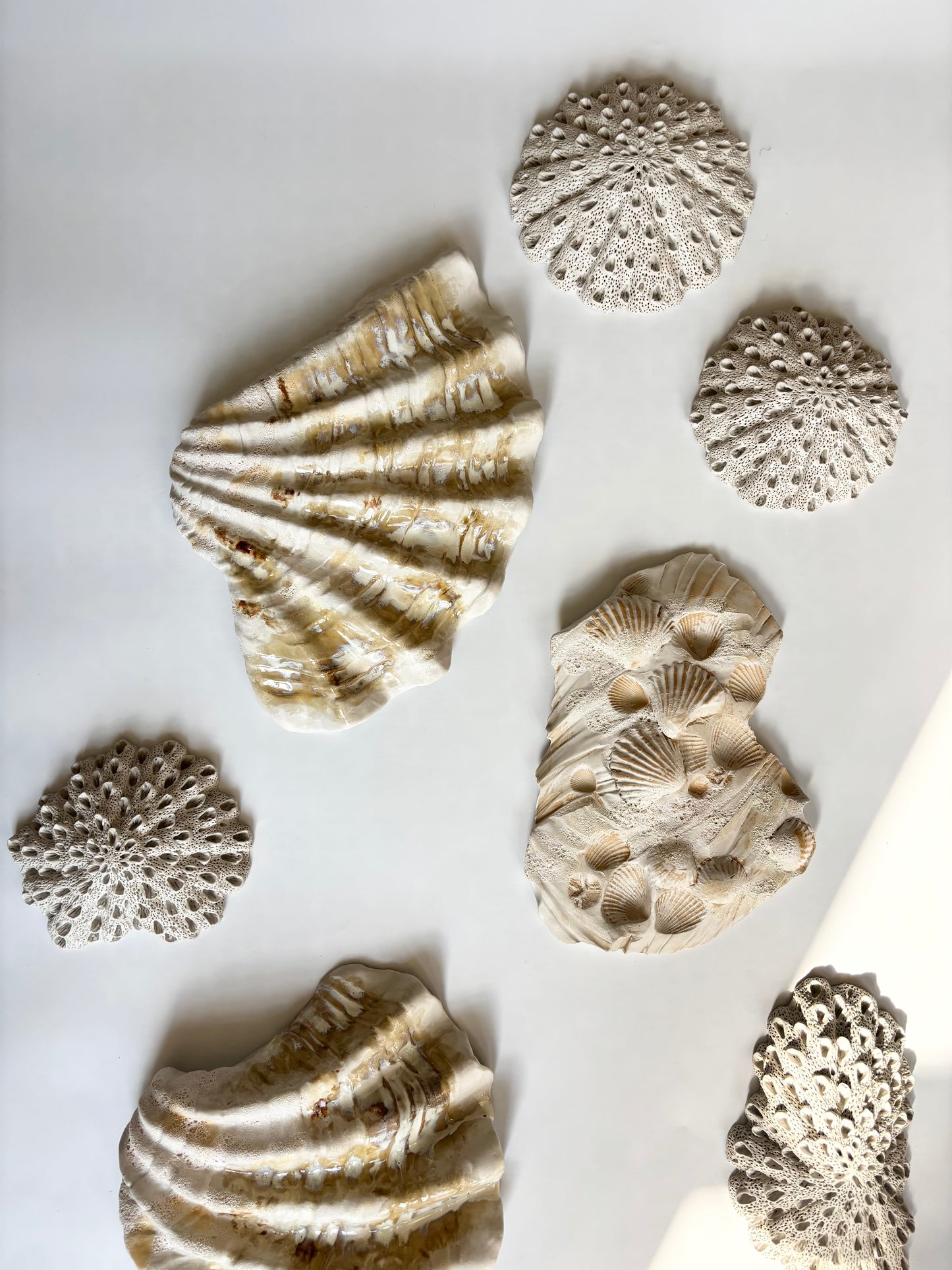 Vægophæng 044 - Koralfossil