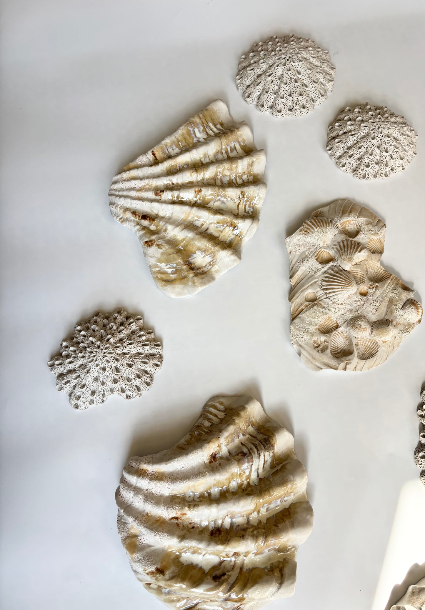 Vægophæng 045 - Koralfossil