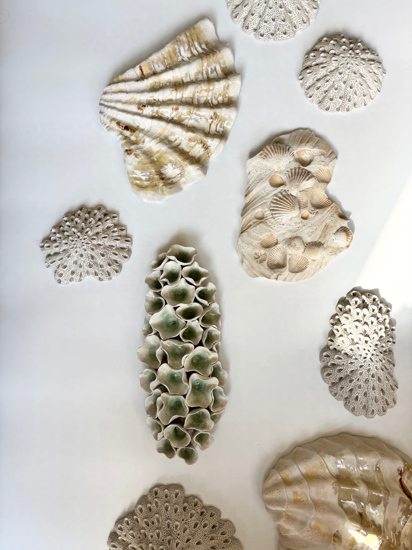 Vægophæng 045 - Koralfossil