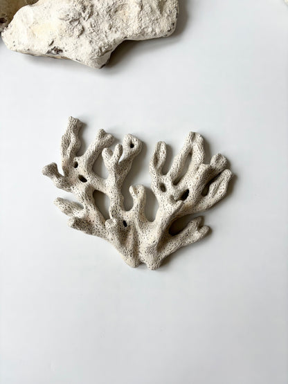 Vægophæng 050 - Koralfossil
