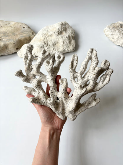 Vægophæng 050 - Koralfossil