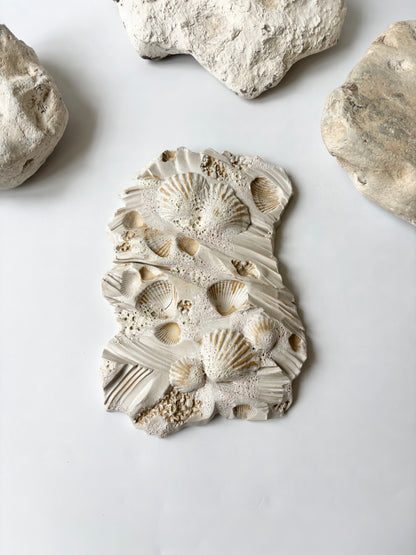 Vægophæng 053 - Muslingefossil - 2. sortering (læs beskrivelse)