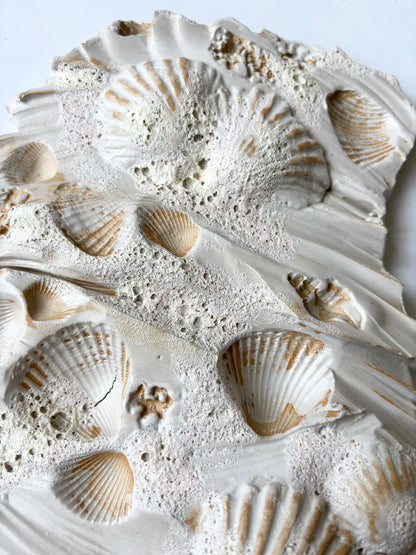 Vægophæng 053 - Muslingefossil - 2. sortering (læs beskrivelse)