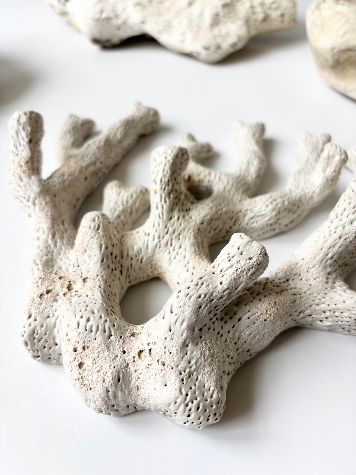 Vægophæng 052 - Koralfossil