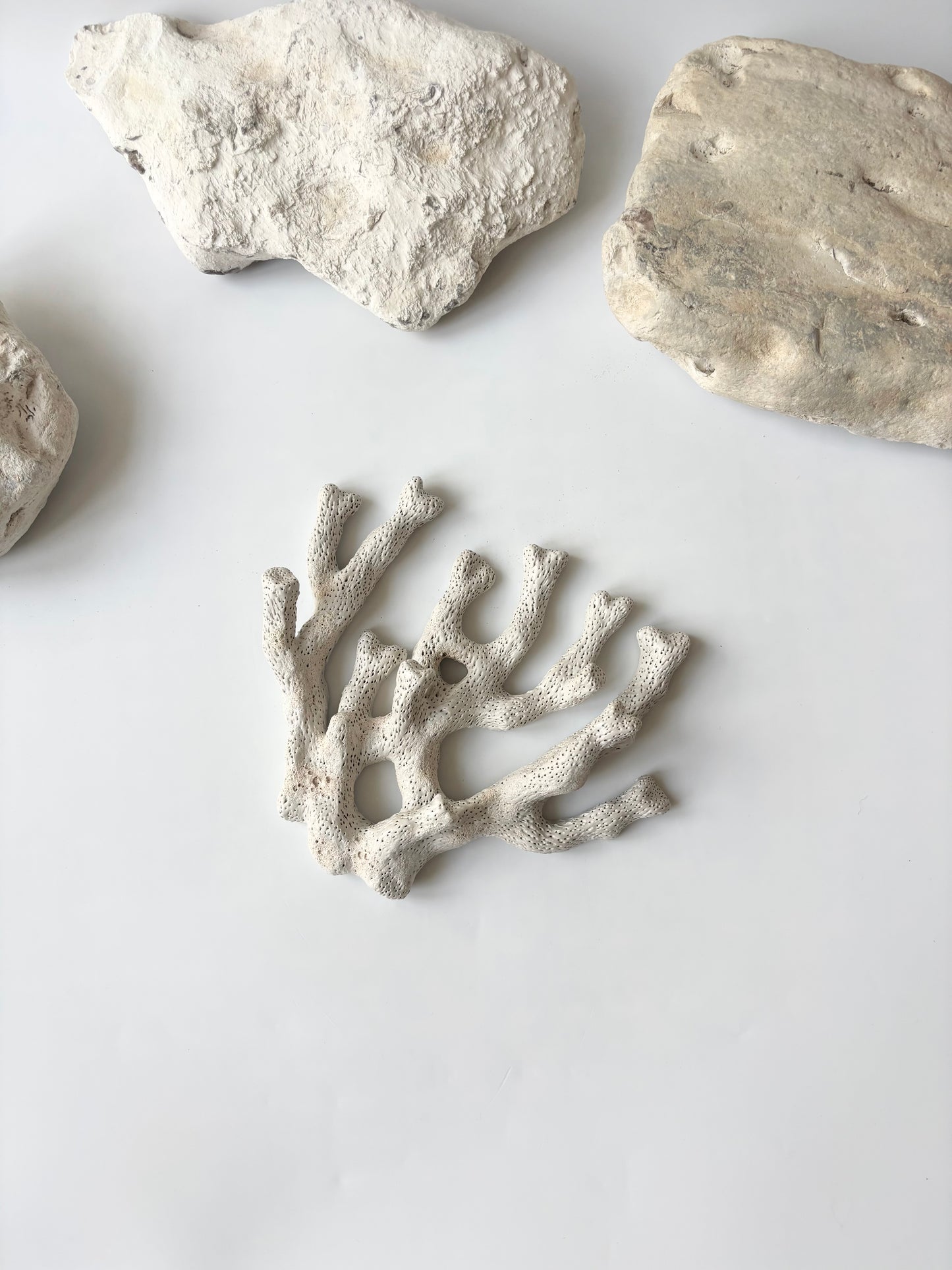 Vægophæng 052 - Koralfossil
