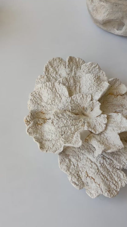 Vægophæng 067 - Koralfossil